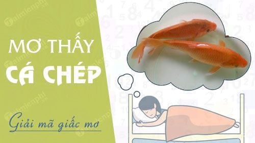 Mơ thấy cá chép điềm báo điều gì