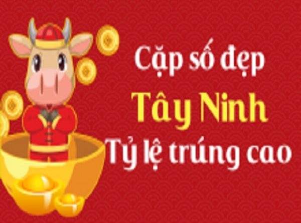 thống kê XSTN 02-12-2021  - Dự đoán Tây Ninh ngày 2 tháng 12 năm 2021 dựa trên những dữ liệu phân tích, thống kê, thống kê bạch thủ lô chuẩn nhất.