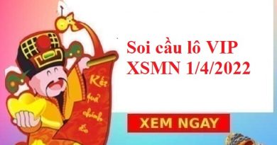 Soi cầu lô VIP XSMN 1/4/2022