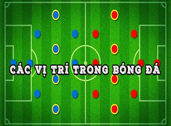 Các vị trí trong bóng đá và ý nghĩa vai trò từng vị trí
