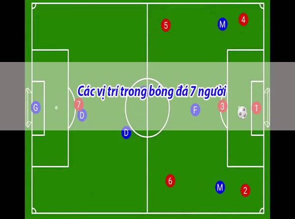 các vị trí trong bóng đá 7 người