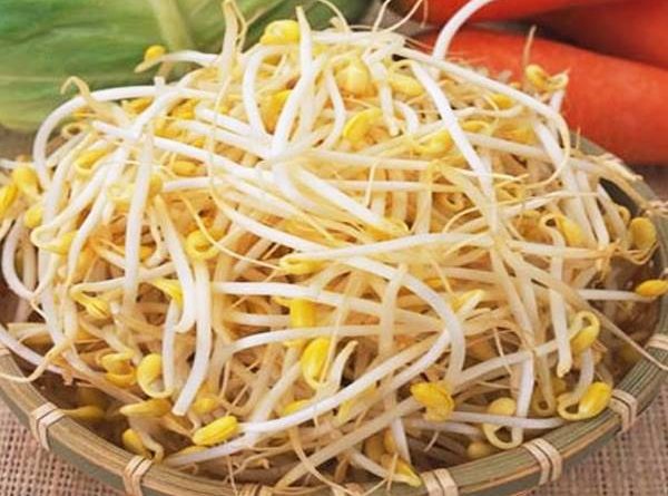 Giá đỗ bao nhiêu calo? Ăn giá đỗ có béo, có mập không?