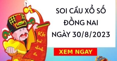 Soi cầu lô tô xổ số Đồng Nai ngày 30/8/2023 thứ 4 hôm nay