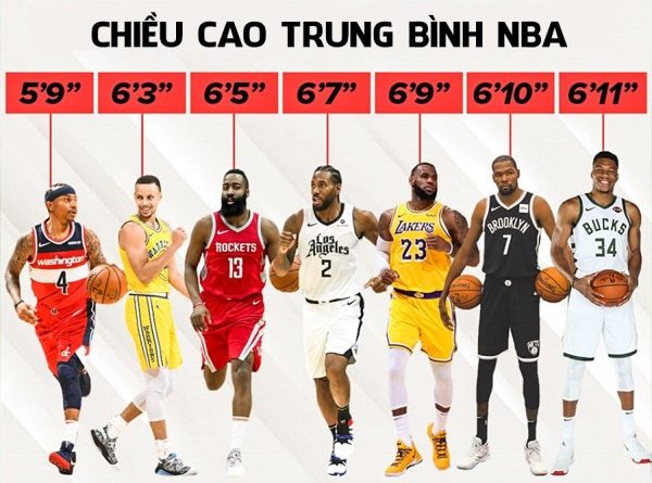 Chiều cao trung bình của cầu thủ bóng rổ NBA