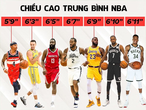 Chiều cao trung bình của cầu thủ bóng rổ NBA