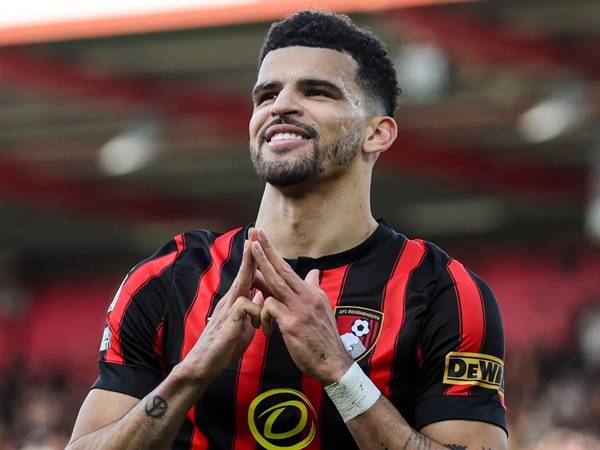 Điều ít ai biết về cầu thủ Dominic Solanke