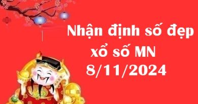 Nhận định số đẹp xổ số MN 8/11/2024