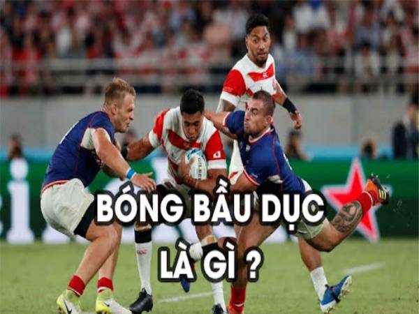 bóng bầu dục Mỹ