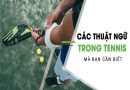 TOP các thuật ngữ tennis phổ biến cần nhớ cho người mới