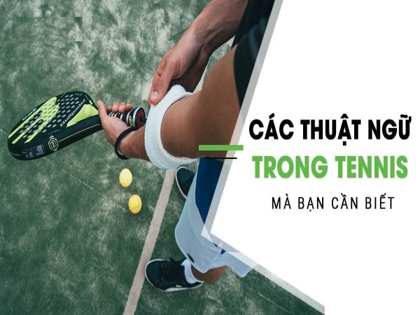 TOP các thuật ngữ tennis phổ biến cần nhớ cho người mới