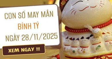 Con số may mắn tuổi Bính Tý theo tình cảm ngày 28/11/2025