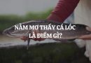 Giãi mã nằm mơ thấy cá lóc lớn điềm báo gì hên hay xui?