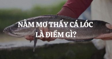 Giãi mã nằm mơ thấy cá lóc lớn điềm báo gì hên hay xui?