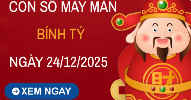 Con số vàng mở cửa tài vận tuổi Bính Tý ngày 24/12/2025