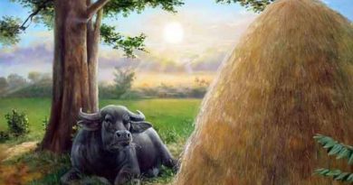 Con số phú quý tuổi Đinh Sửu 14/12/2025 có chuẩn không?