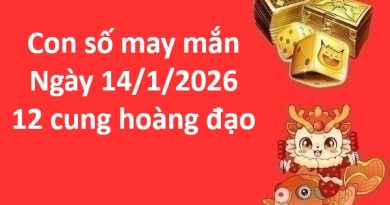 Con số may mắn hôm nay ngày 14/1 thứ 4 12 cung hoàng đạo