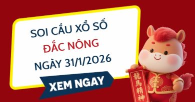 Soi cầu xổ số Đắc Nông ngày 31/1/2026 siêu VIP hôm nay