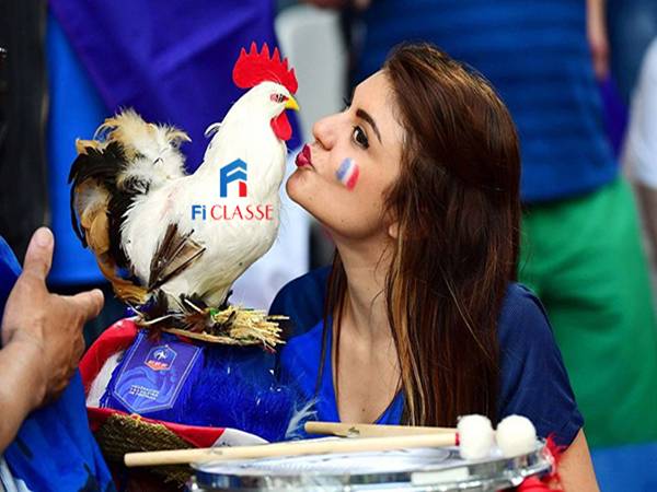 Le Coq Gaulois – Gà trống Gaulois