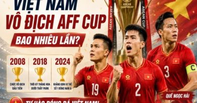Việt Nam vô địch AFF Cup bao nhiêu lần? Năm bao nhiêu?